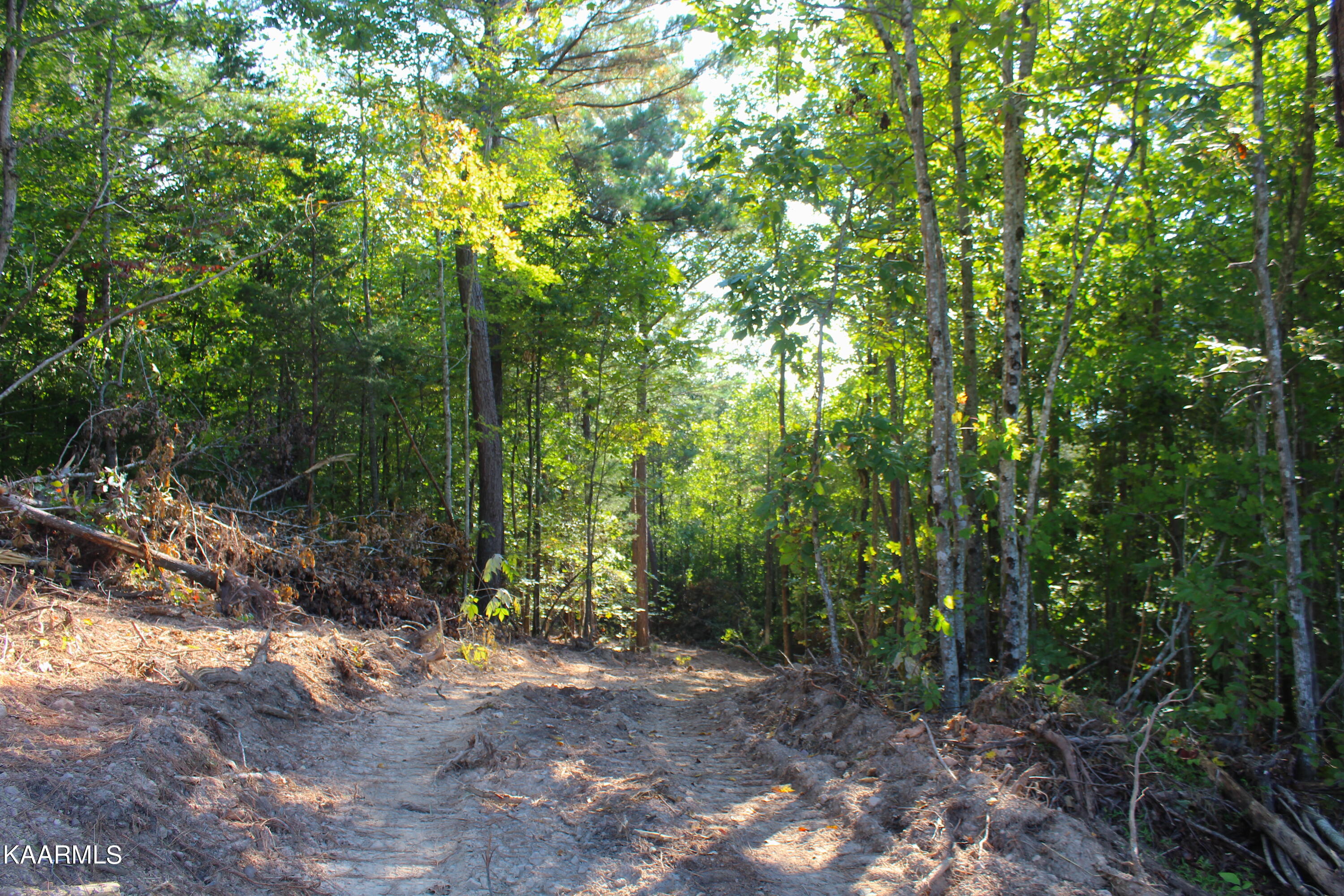 10 Bill Moser Road Vonore, TN 37885 - Photo 32 of 32 lot10or2