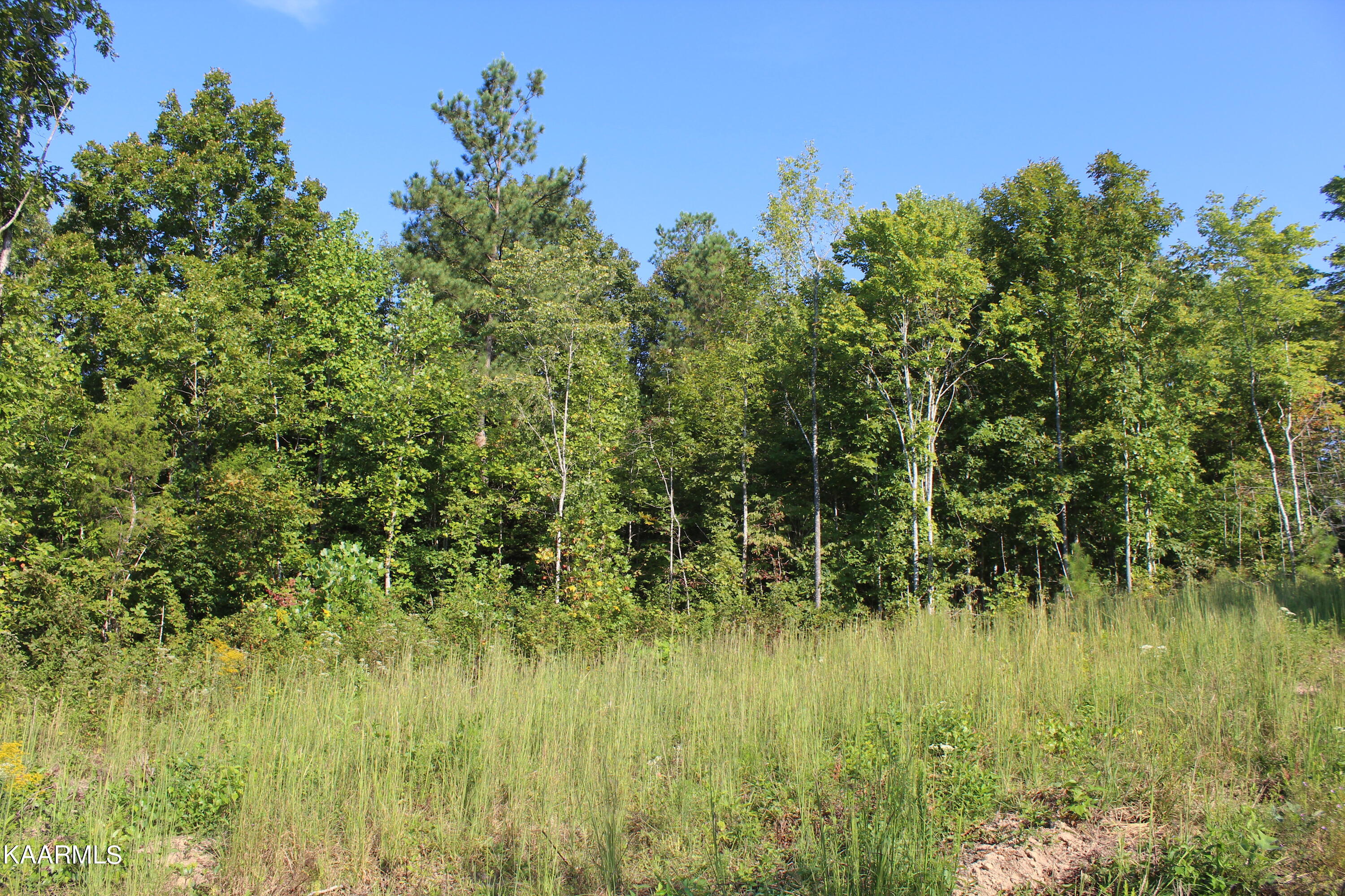 10 Bill Moser Road Vonore, TN 37885 - Photo 10 of 32 IMG_2470