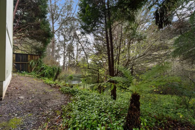 a backyard of a house with lots of green space