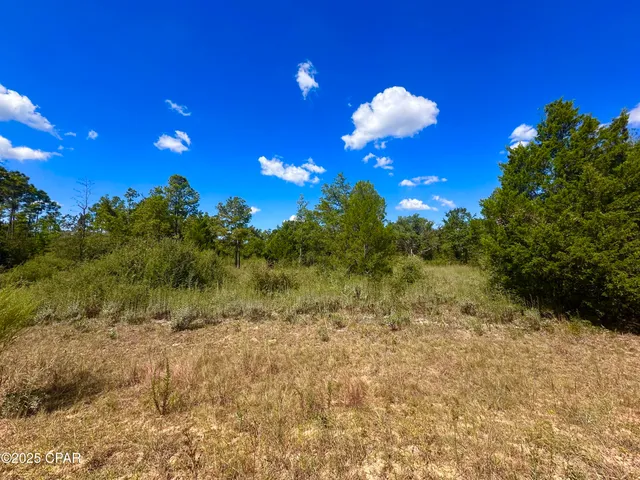 $12,000 | Lot 9 Marville Drive, Marianna, FL 32448
