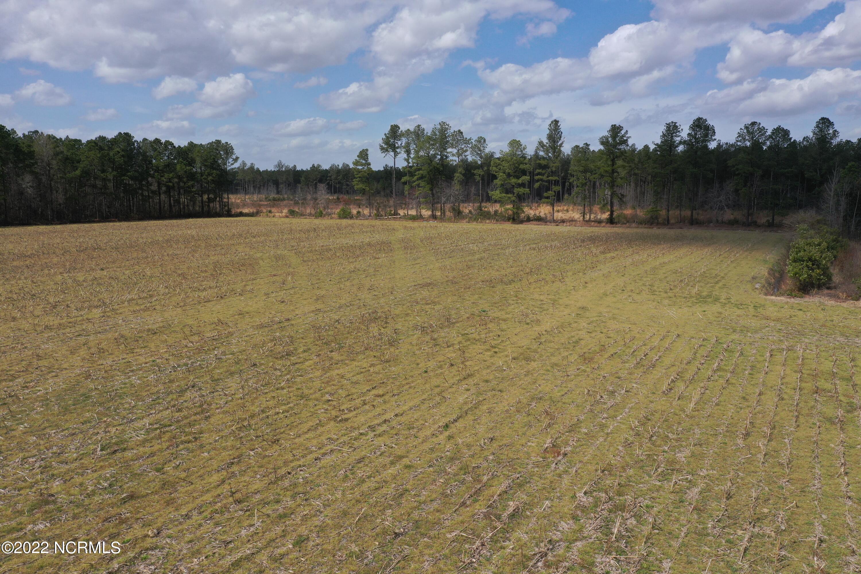0 Goins Road Chadbourn, NC 28431 - Photo 8 of 11 Miller 8