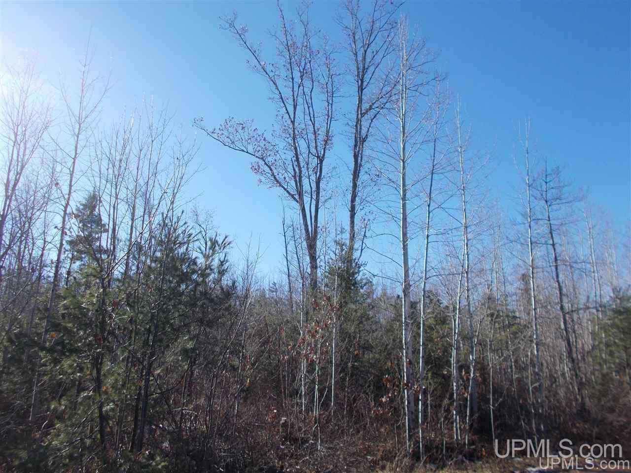 74-acres 74-acres Off Co Road Negaunee, MI 49866 - Photo 4 of 17