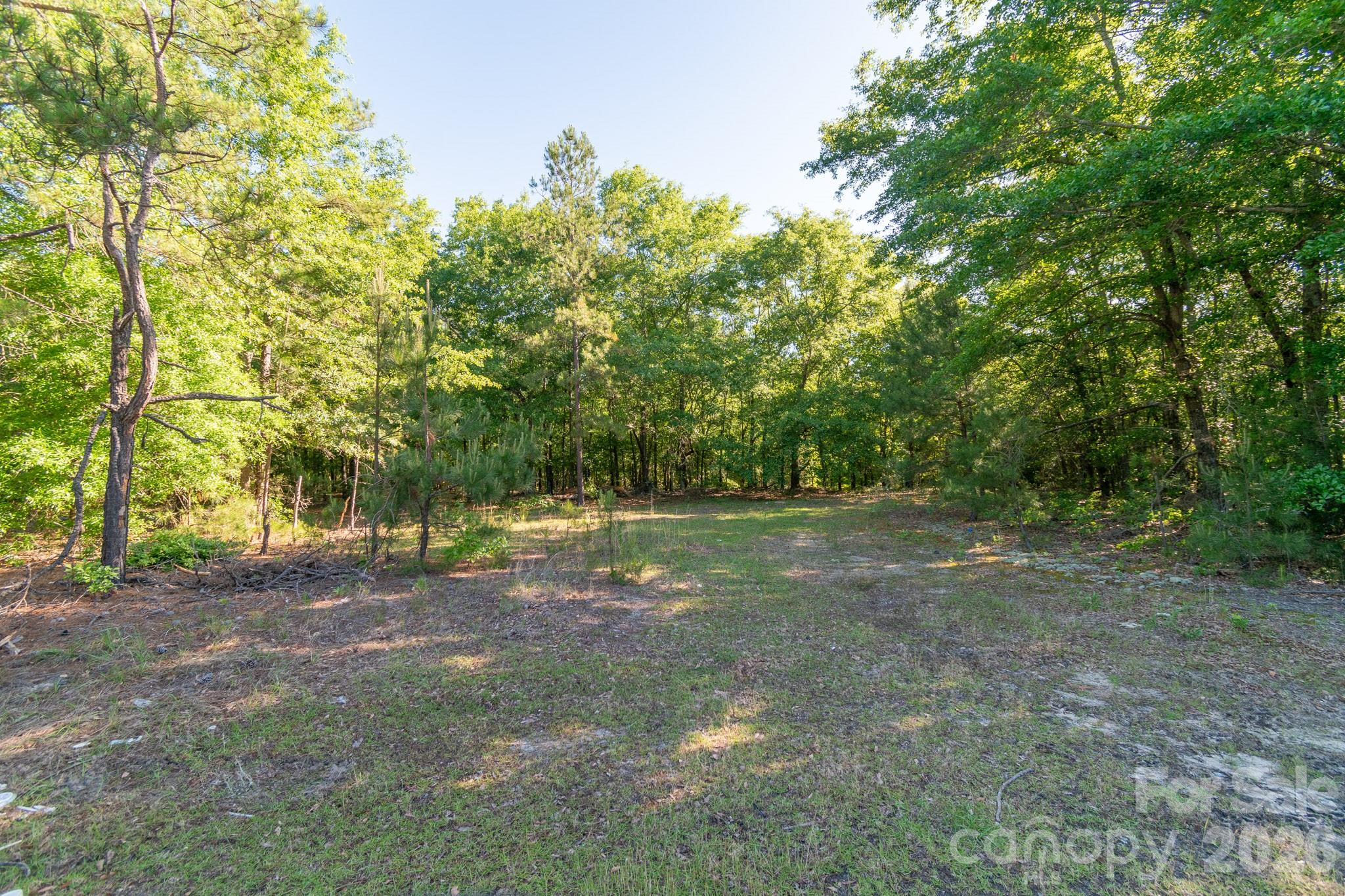 0 Airport Road Pageland, SC 29728 - Photo 5 of 46 Gallery Image 5