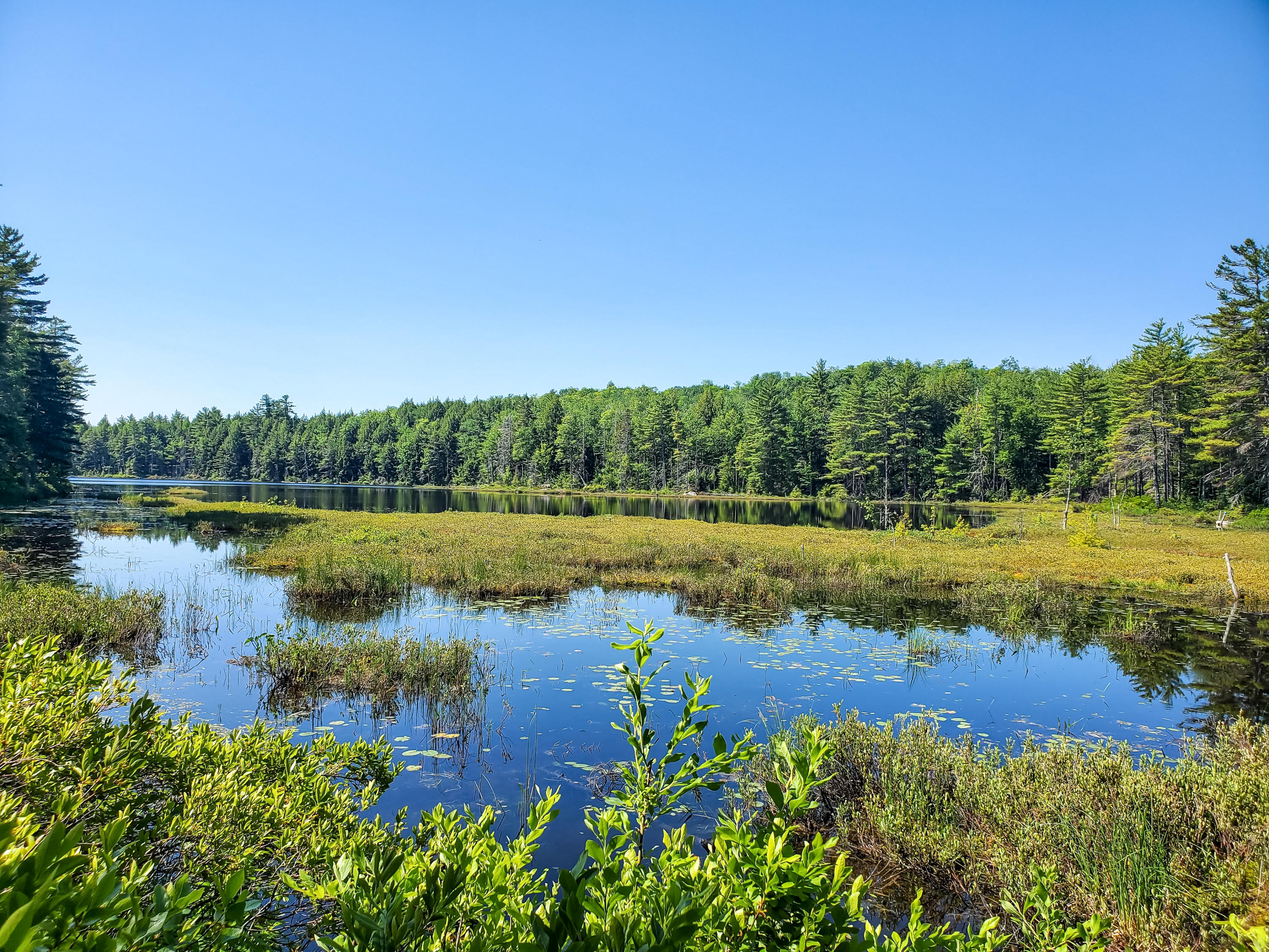 406 Ladd Road Mercer, ME 04957 - Photo 4 of 72 20200620_100544