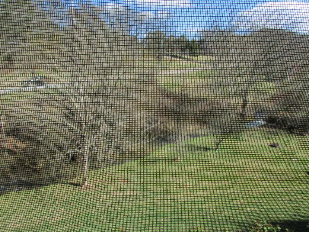 660 Fox Meadow Road, Unit 5 Elizabethton, TN 37643 - Photo 8 of 23 Photo 8