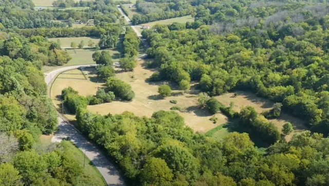 a view of large trees with a yard