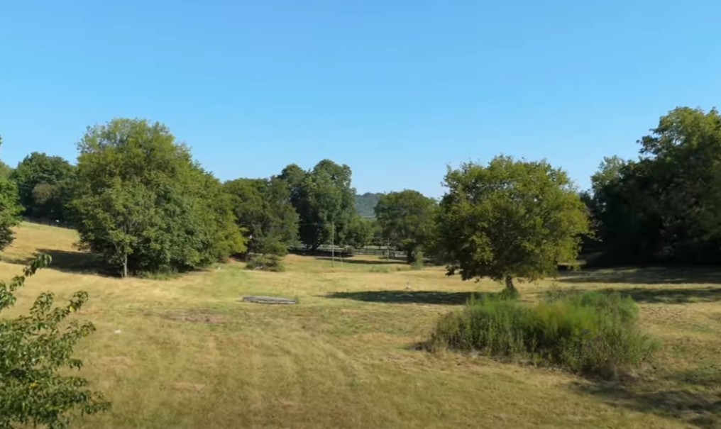 6876 Giles Hill Road College Grove, TN 37046 - Photo 13 of 24 a view of large trees with a yard