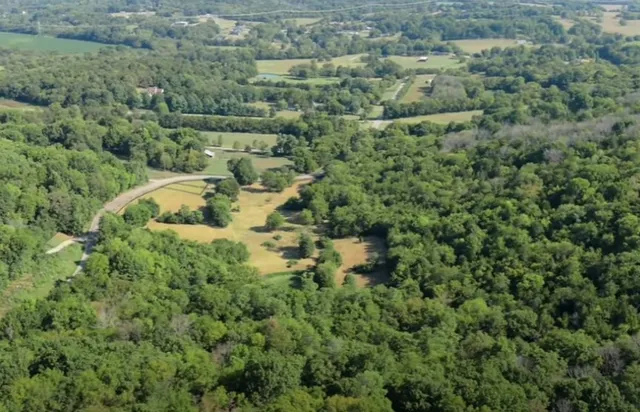 a view of a yard with trees