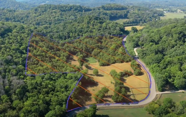 a view of a garden with an outdoor space
