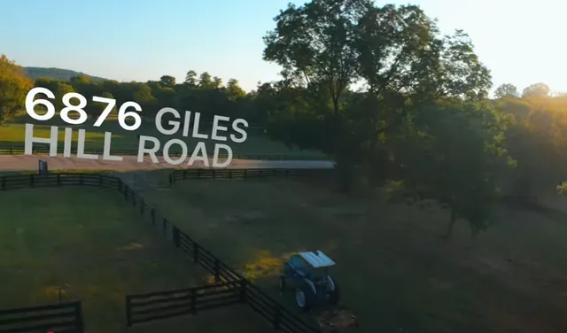 a view of a forest with trees in the background