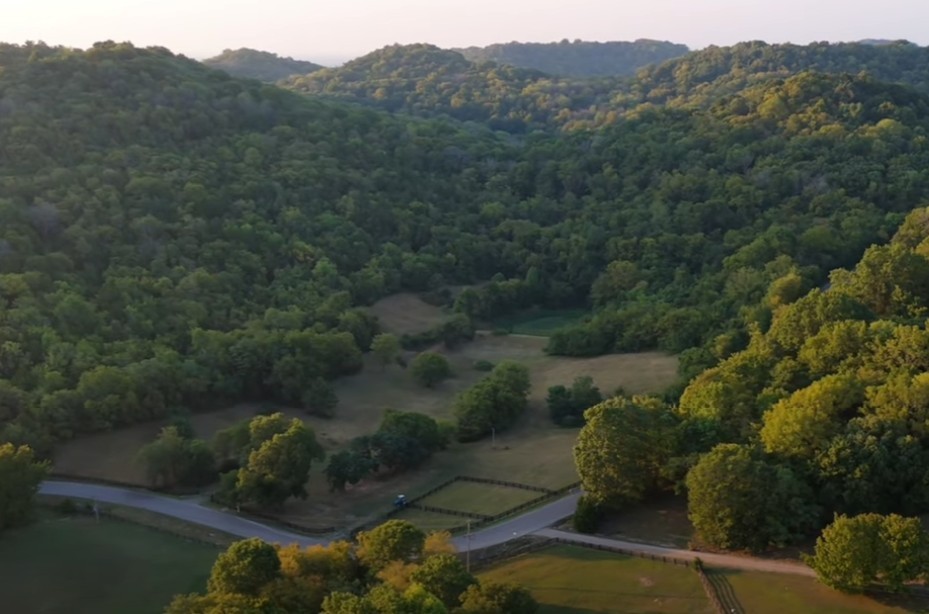 6876 Giles Hill Road College Grove, TN 37046 - Photo 8 of 24 a view of a forest with a lake