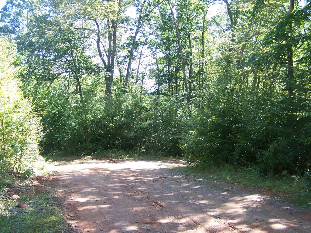 Tbd Blue Springs Road, Unit 18A2 Troutdale, VA 24378 - Photo 36 of 42 Gallery Image 36