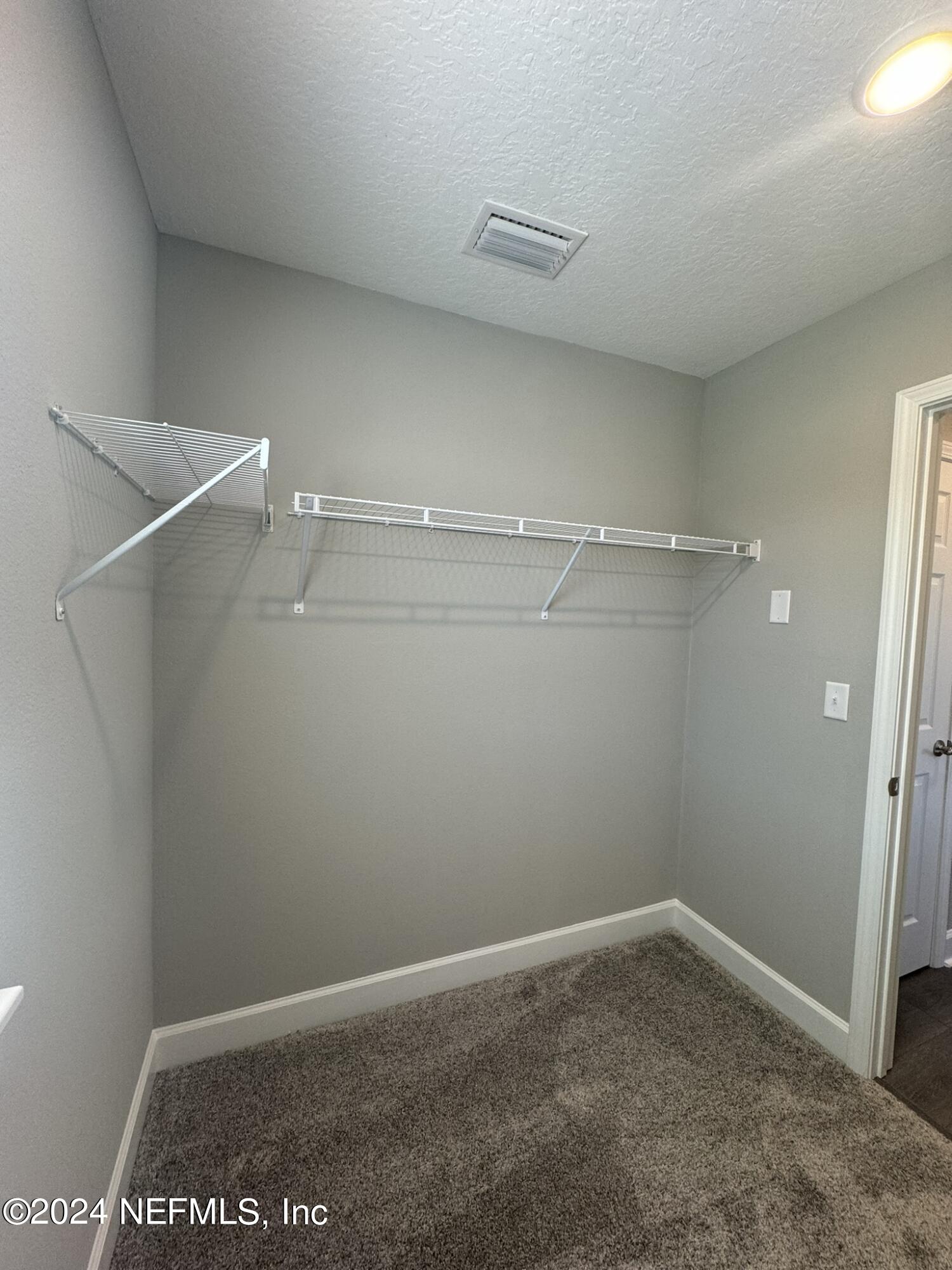 29 Cedar Elm Way St. Augustine, FL 32092 - Photo 21 of 31 Primary Closet