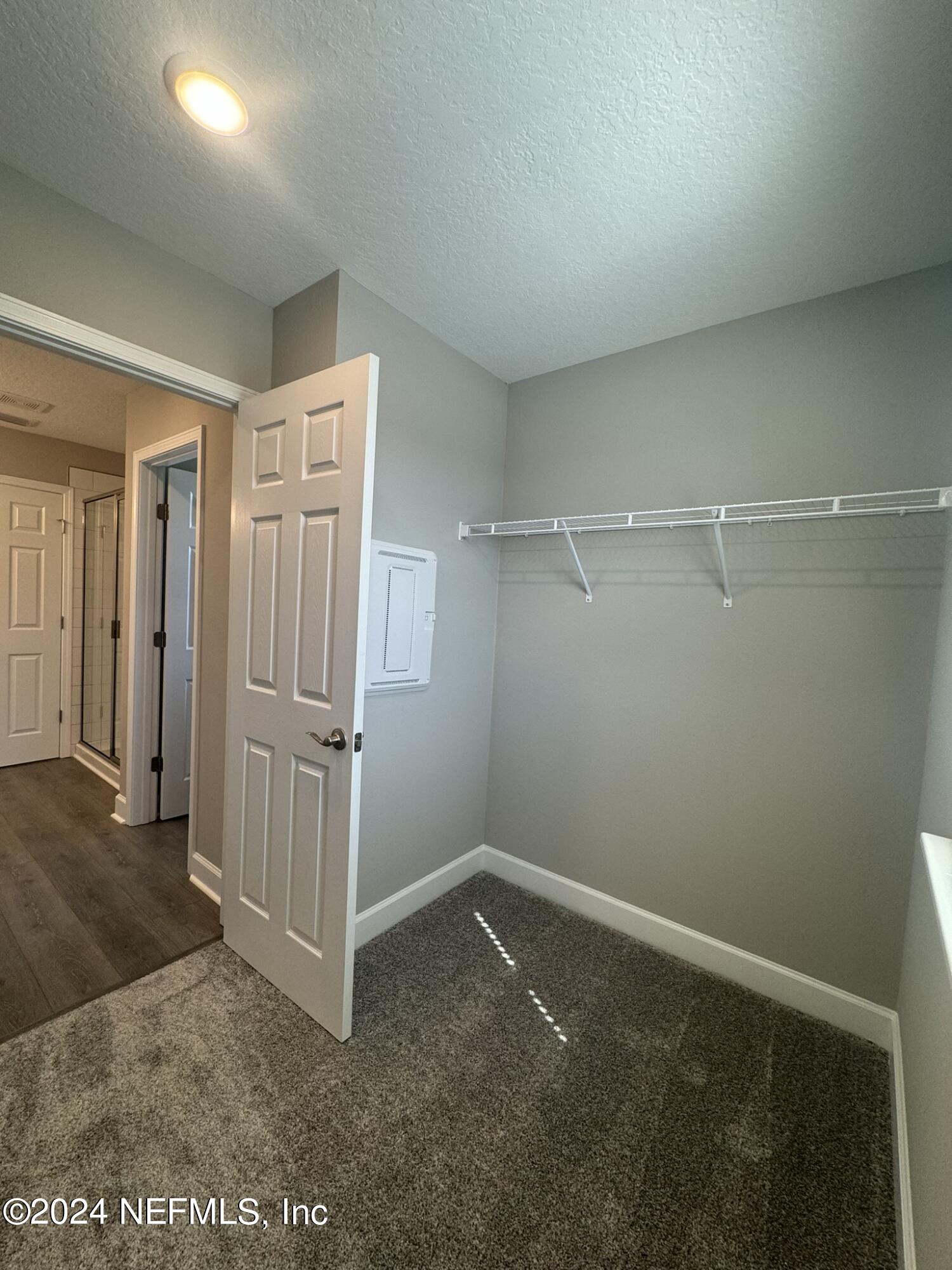 29 Cedar Elm Way St. Augustine, FL 32092 - Photo 22 of 31 Primary Closet