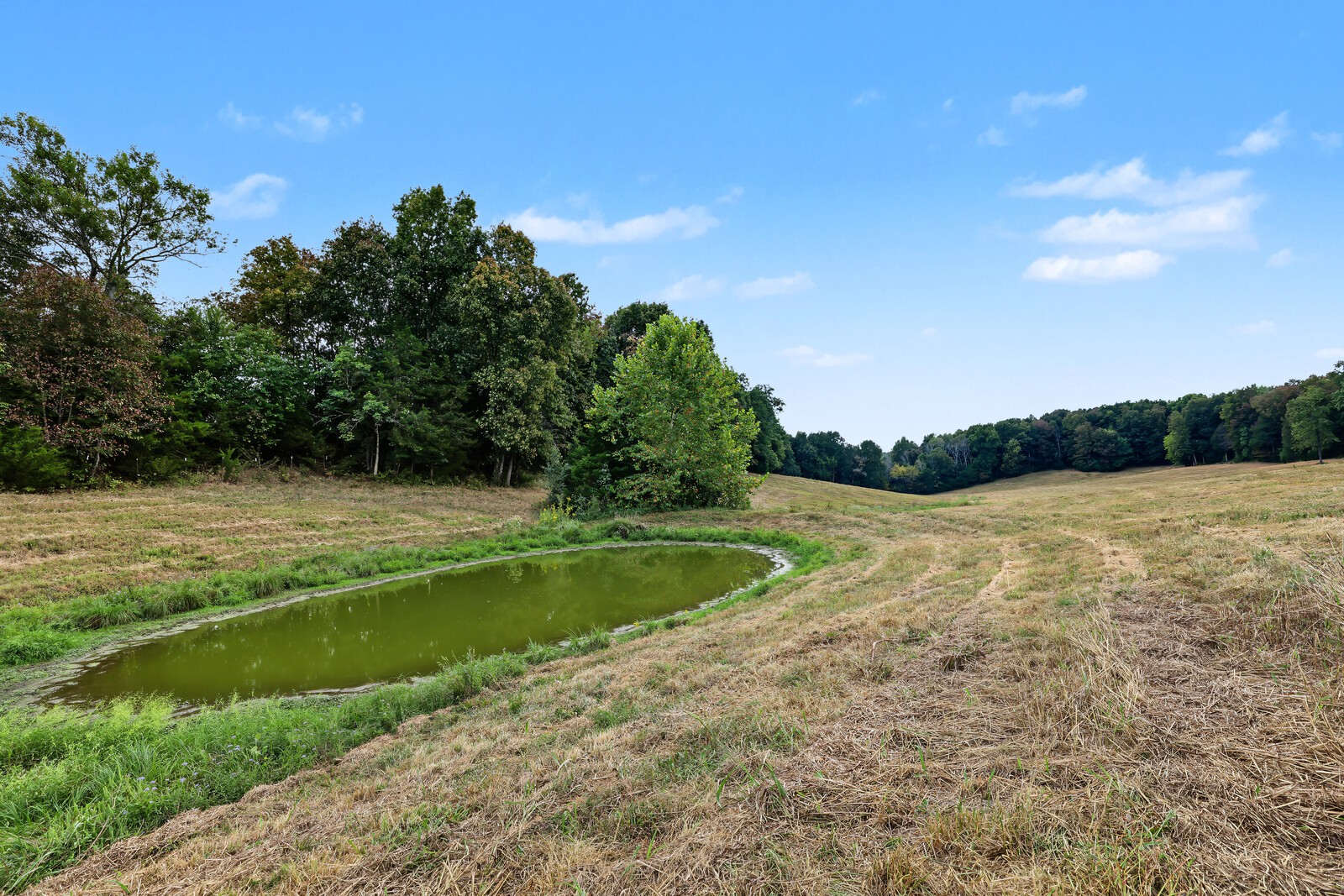 2909 B Beech Log Road Watertown, TN 37184 - Photo 95 of 99 Gallery Image 95