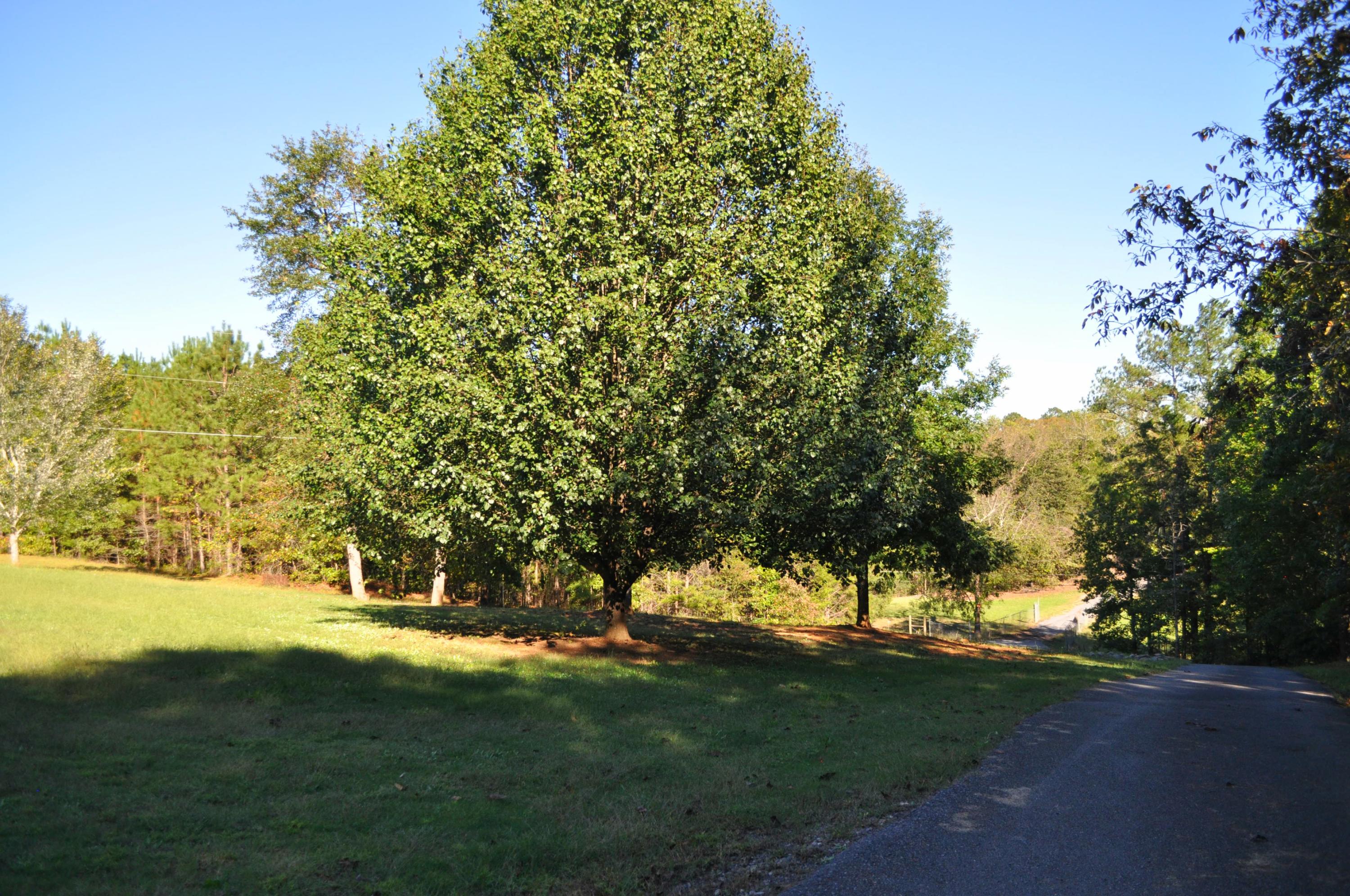 4775 Old Dalton Road Northeast Rome, GA 30165 - Photo 31 of 34 30