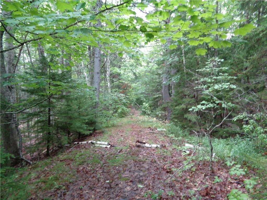 0 Cross Point Road Edgecomb, ME 04556 - Photo 5 of 10 moredrivewa