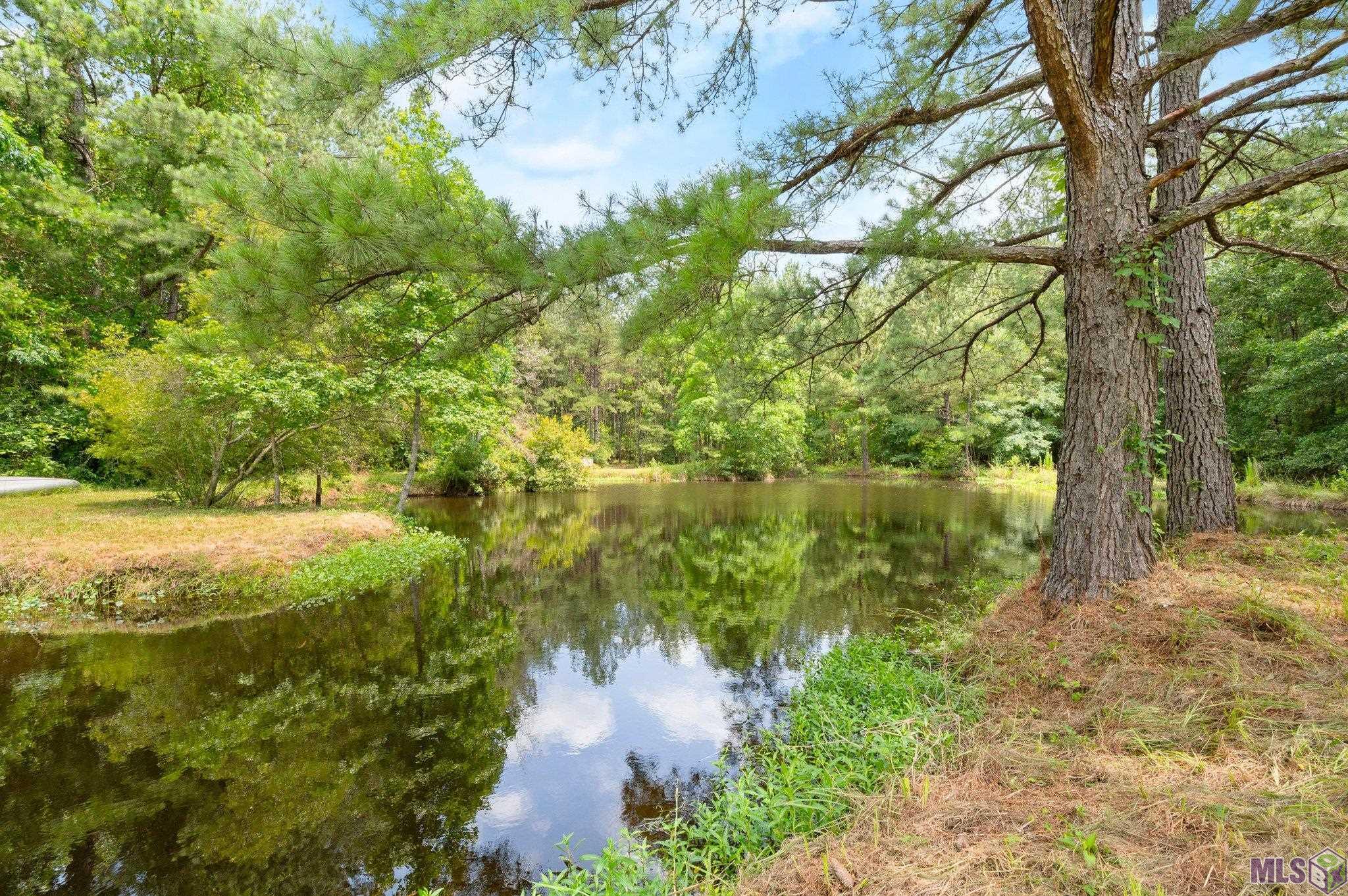 13845 Jackson Road Zachary, LA 70791 - Photo 26 of 31 Gallery Image 26