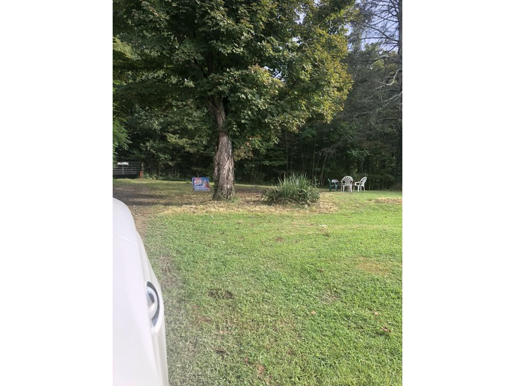 103 Haines Road Erwin, TN 37650 - Photo 12 of 19 Actual lot at 103 Haines Rd
