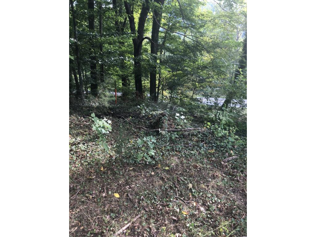 103 Haines Road Erwin, TN 37650 - Photo 17 of 19 Left corner from Haines rd