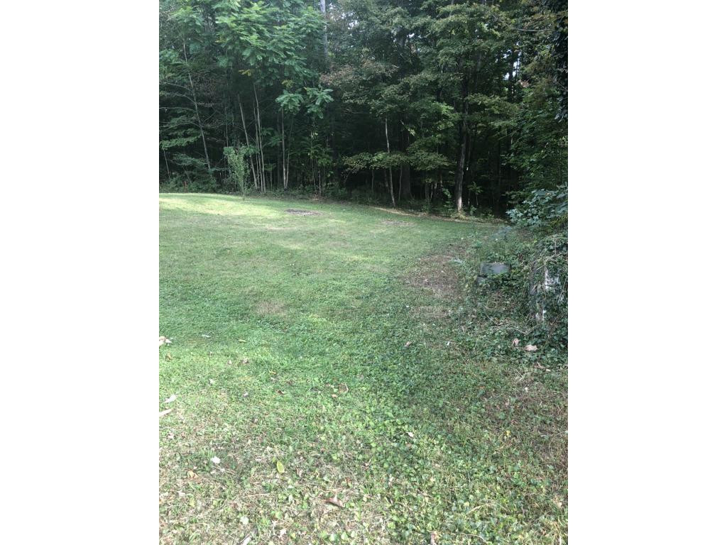 103 Haines Road Erwin, TN 37650 - Photo 3 of 19 Side
