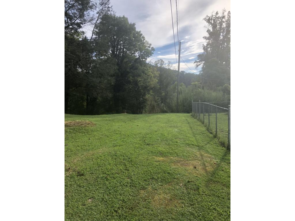 103 Haines Road Erwin, TN 37650 - Photo 4 of 19 Mountain view