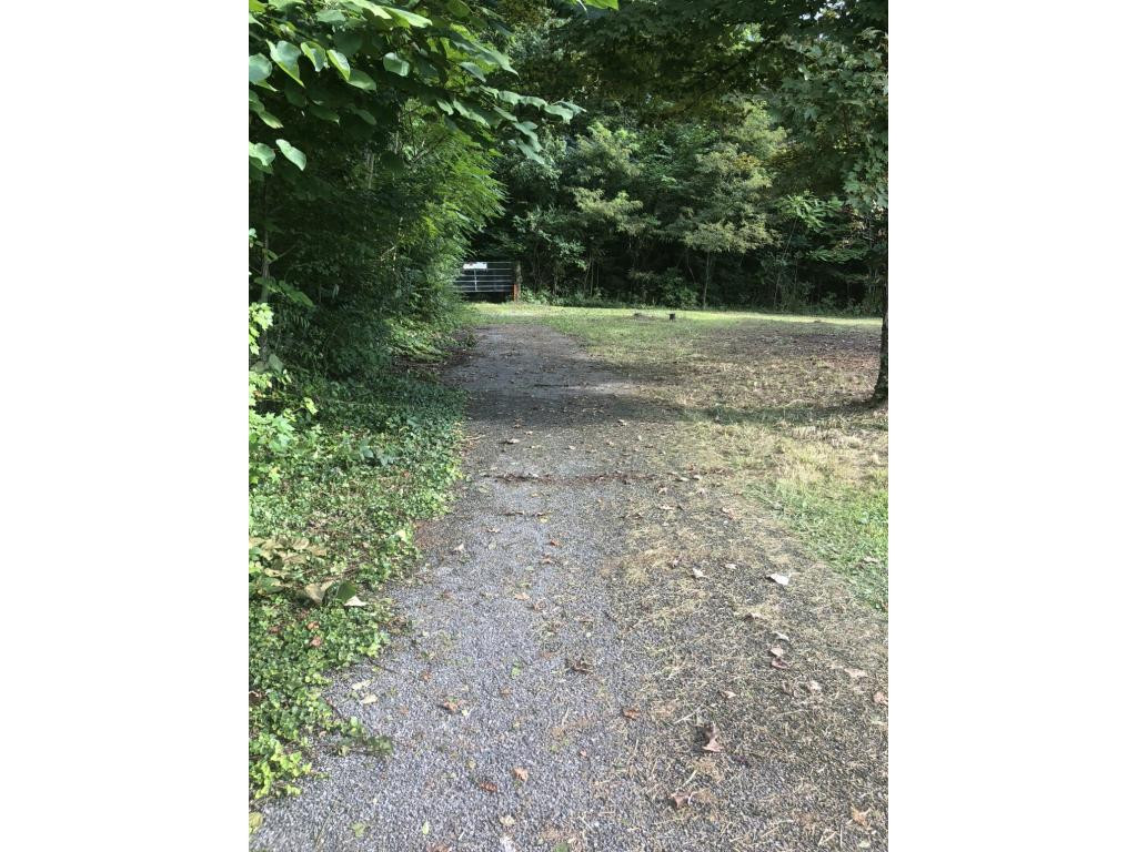103 Haines Road Erwin, TN 37650 - Photo 6 of 19 At end of paved road