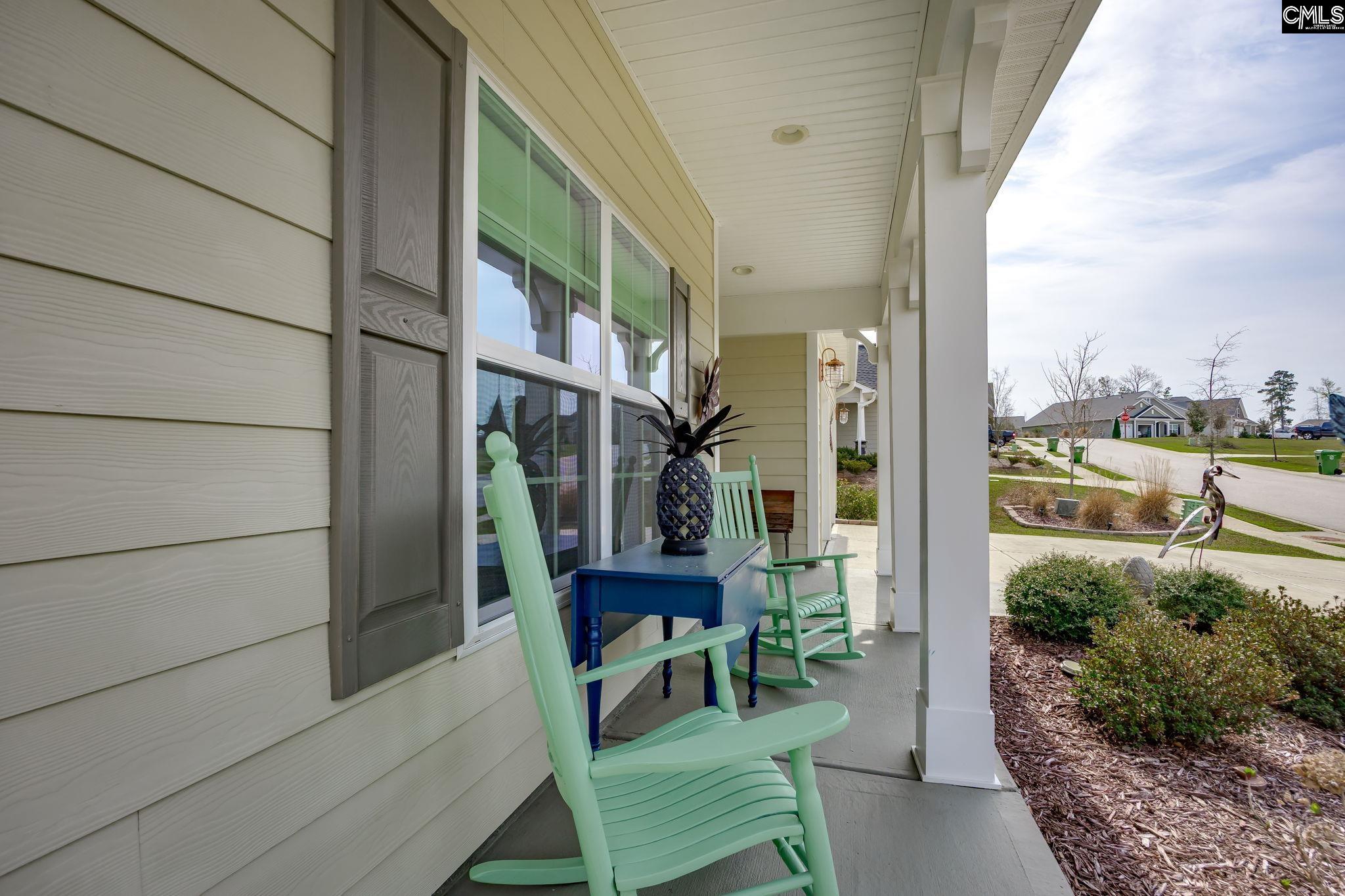 820 Dutchmaster Drive Chapin, SC 29036 - Photo 3 of 49
