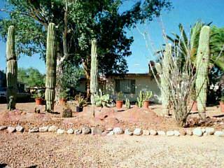 4073 East Montecito Street Tucson, AZ 85711 - Photo 1 of 1 a street view covered with snow