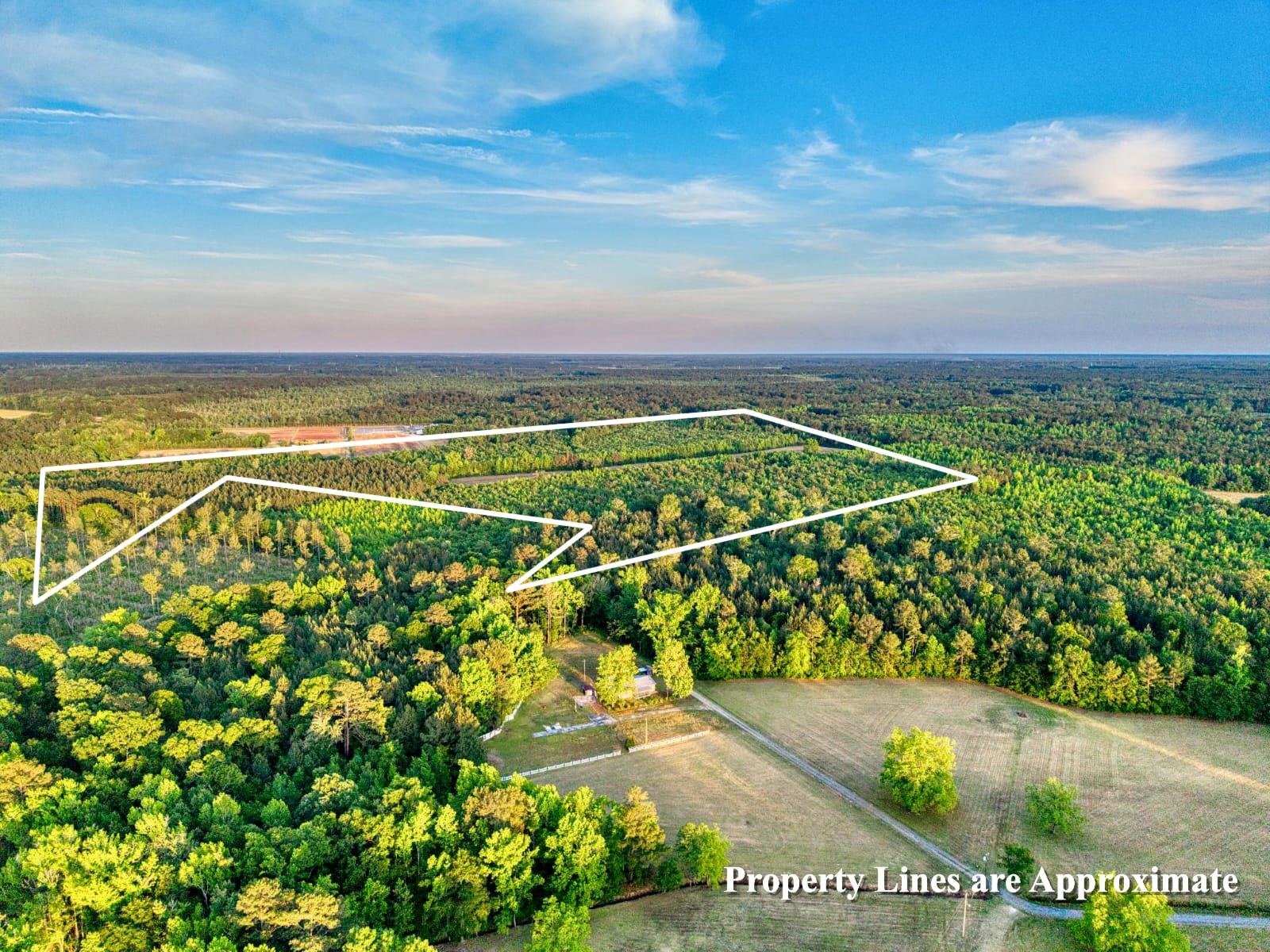 Tbd Tbd Carroll Road Greeleyville, SC 29056 - Photo 4 of 5