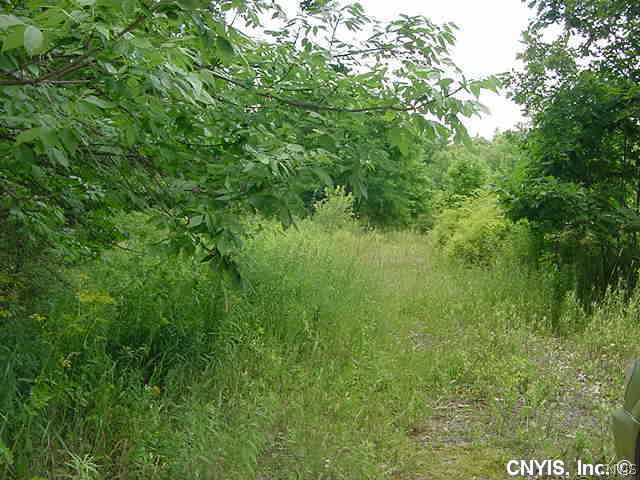 2045 Maxfield Road Homer, NY 13045 - Photo 1 of 1 Land/Lot