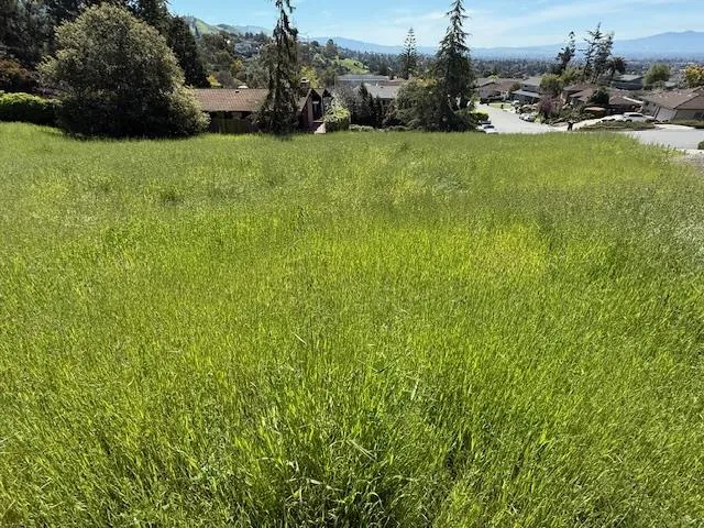 a view of a garden with a house
