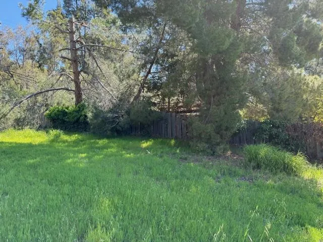 a view of yard with green space and trees around