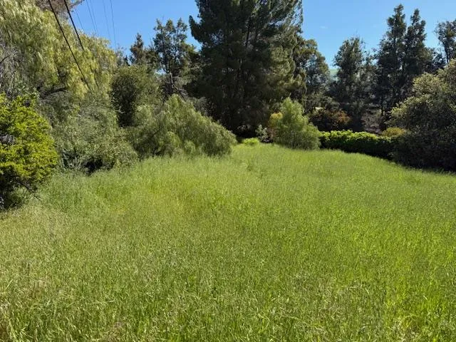 a view of a field of grass and trees