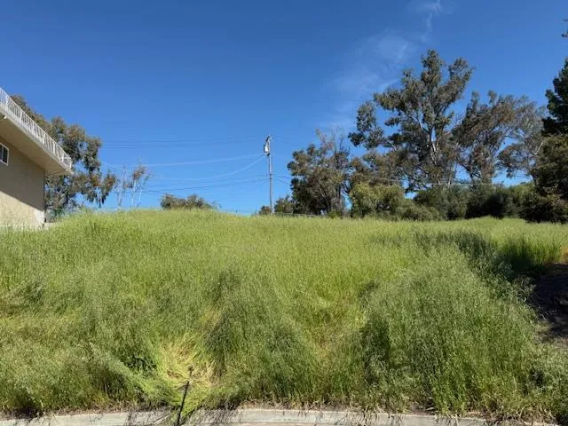 a view of a field with an trees
