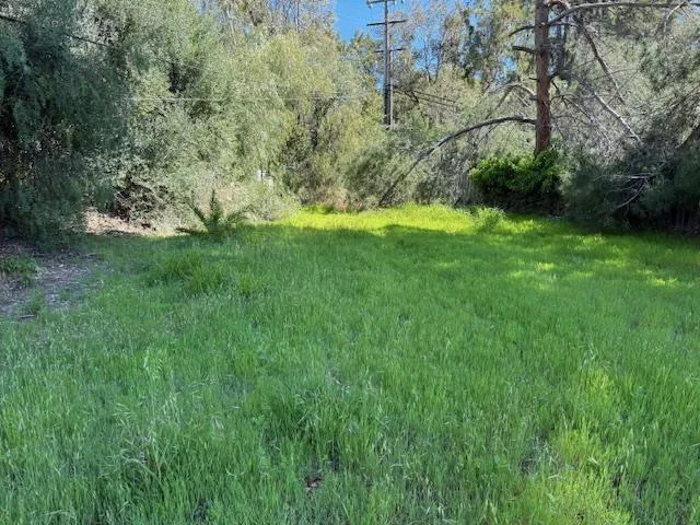 a view of green field with trees
