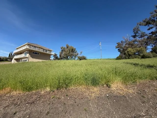 a view of a big yard with potted plants