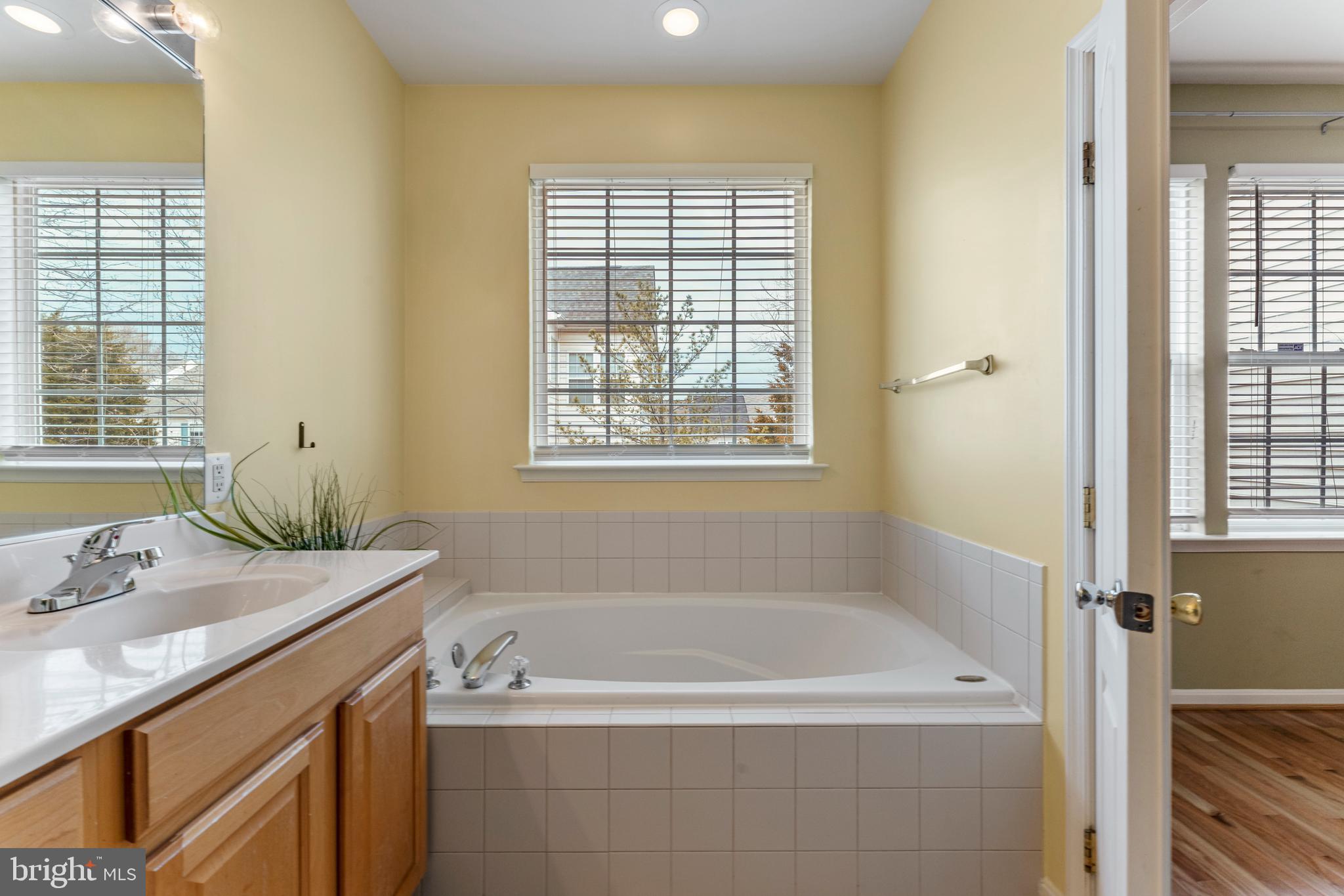6002 St Hubert Lane Centreville, VA 20121 - Photo 18 of 27 a bathroom with a tub sink and mirror