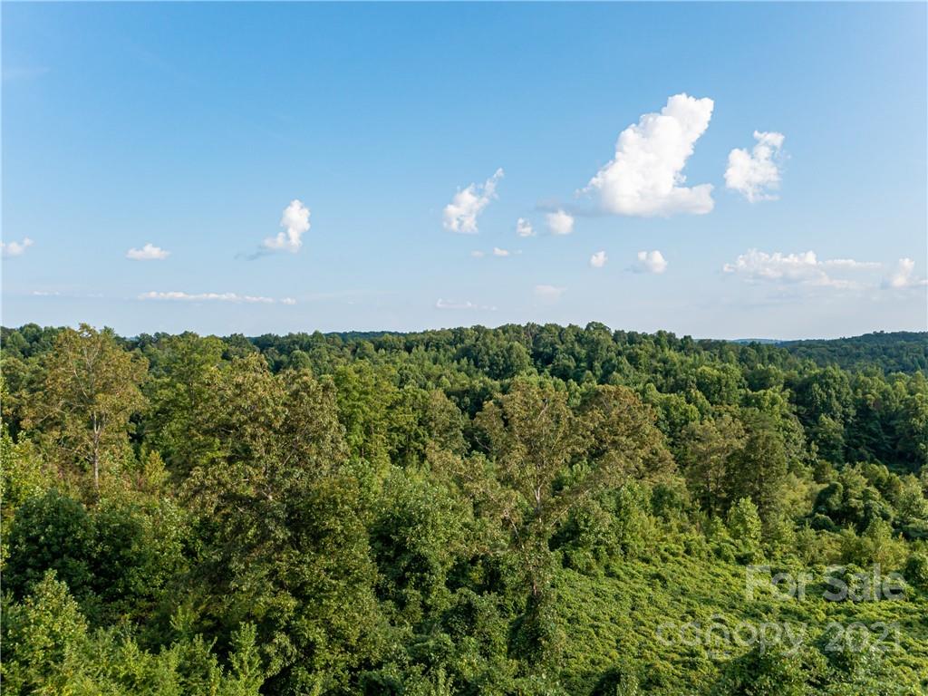 32 Toney Road, Unit 1 Mill Spring, NC 28756 - Photo 6 of 6 a view of a bunch of trees in a field