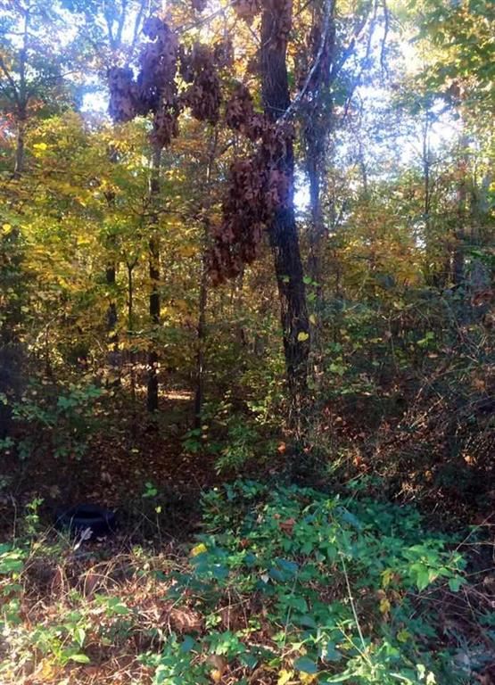 Lot 23 Blue Ridge Road Campobello, SC 29322 - Photo 1 of 1