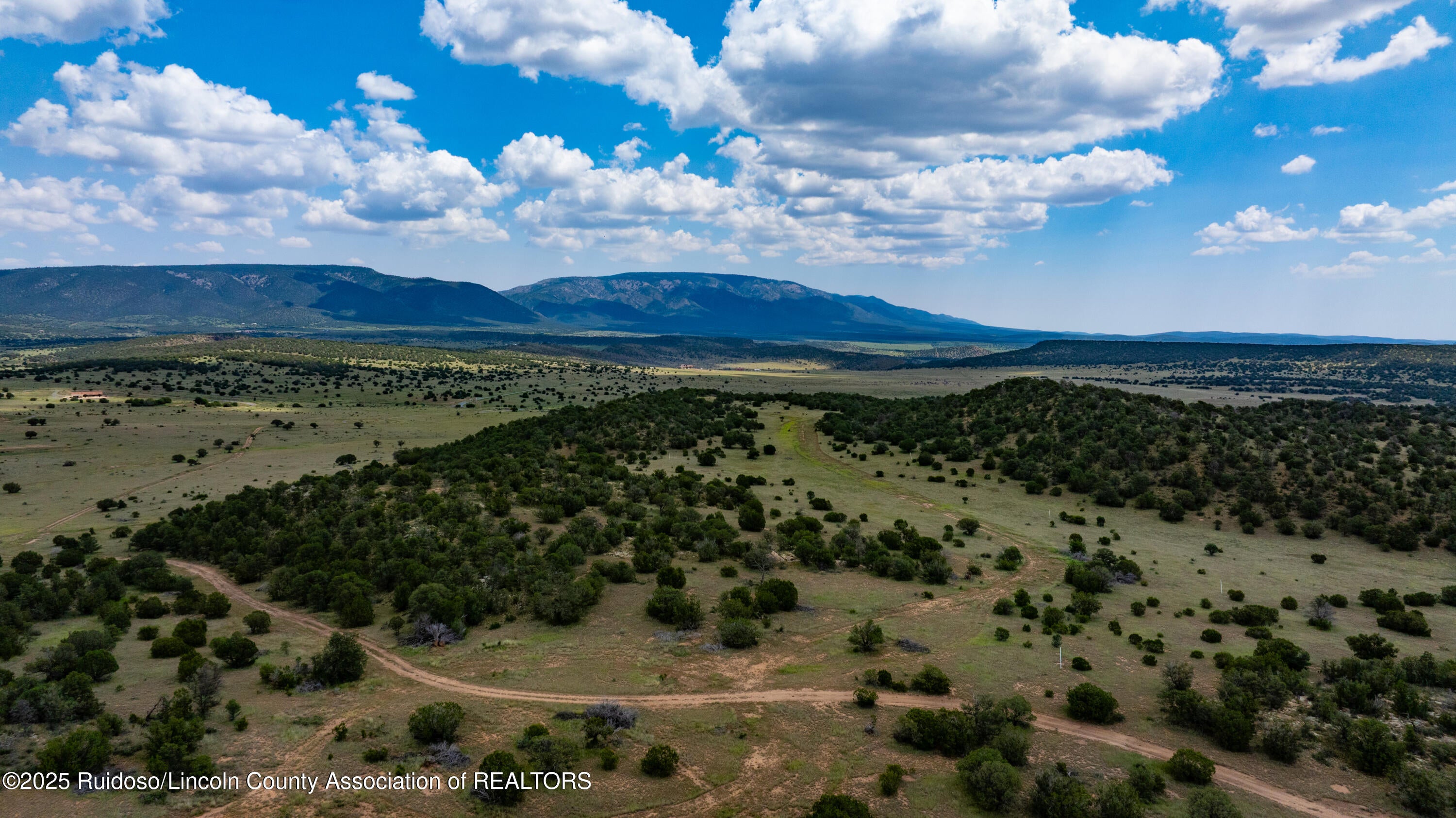 331 Pine Lodge Road Capitan, NM 88316 - Photo 154 of 156 Gallery Image 154
