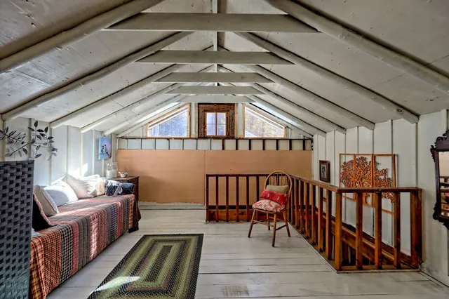 a view of a yard with plants and large trees