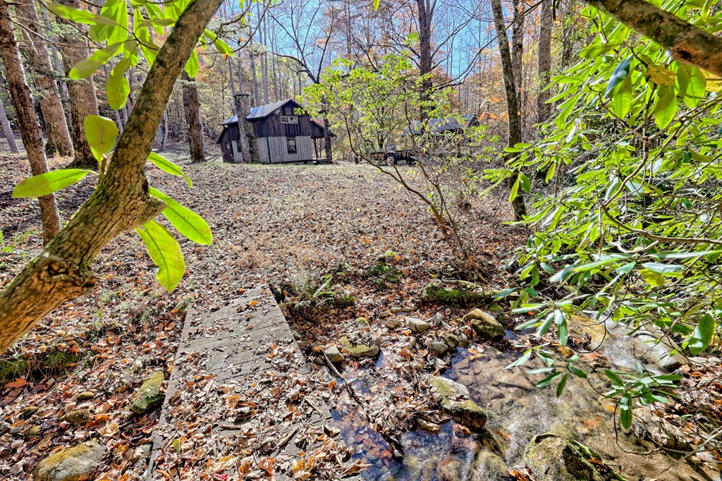 1307 Clear Creek Road Hayesville, NC 28904 - Photo 39 of 65 a view of a yard with plants and large trees