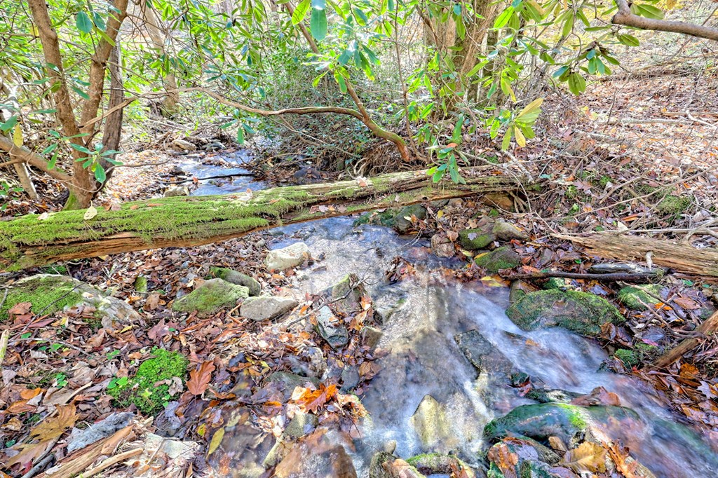 1307 Clear Creek Road Hayesville, NC 28904 - Photo 40 of 65 a view of a garden with a tree