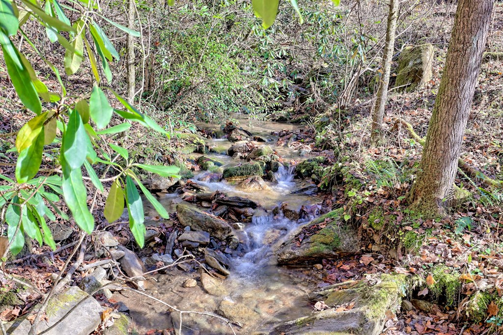 1307 Clear Creek Road Hayesville, NC 28904 - Photo 4 of 65