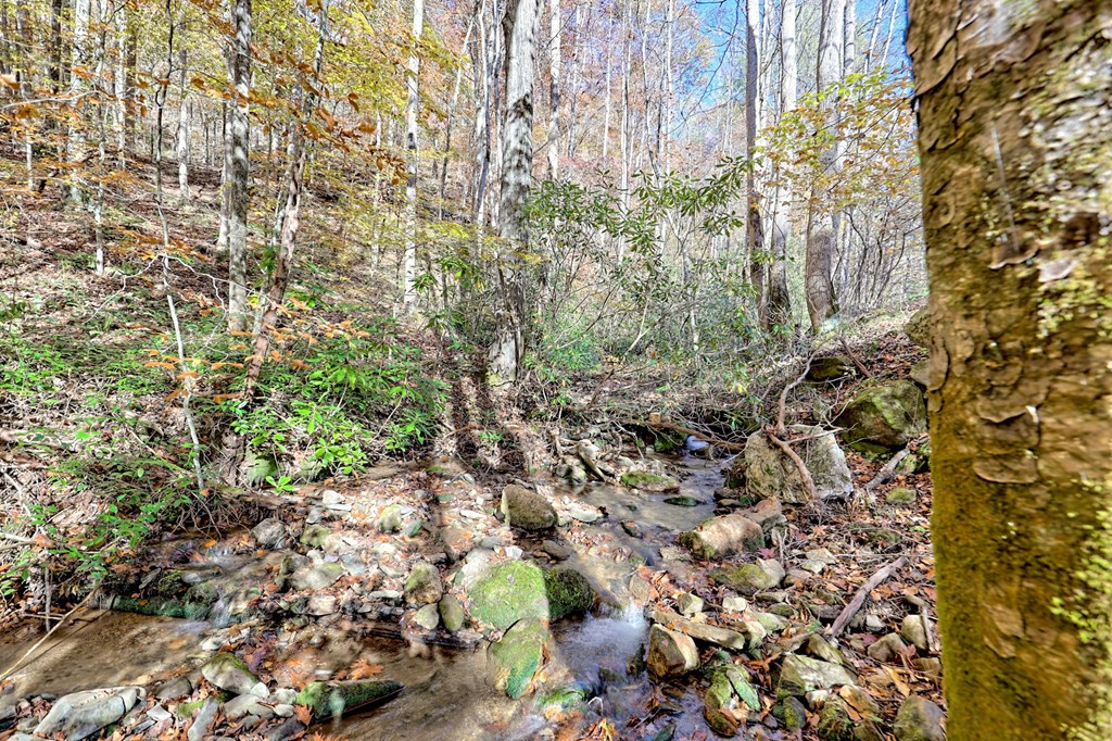 1307 Clear Creek Road Hayesville, NC 28904 - Photo 41 of 65
