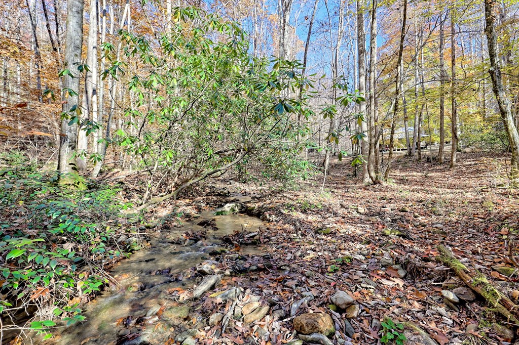 1307 Clear Creek Road Hayesville, NC 28904 - Photo 42 of 65 a view of a yard with plants and trees