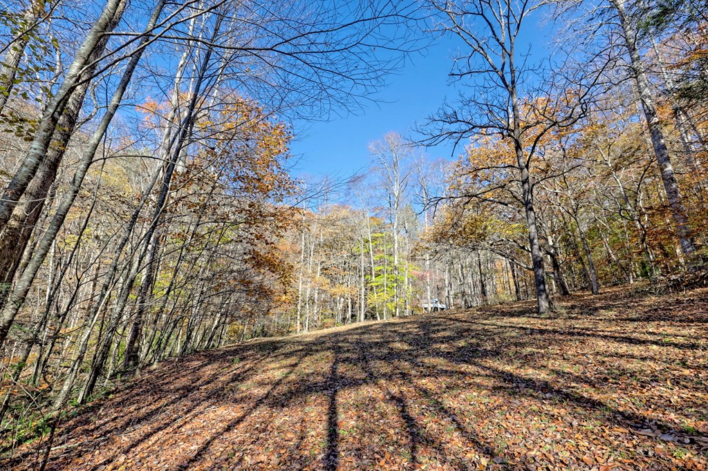 1307 Clear Creek Road Hayesville, NC 28904 - Photo 44 of 65