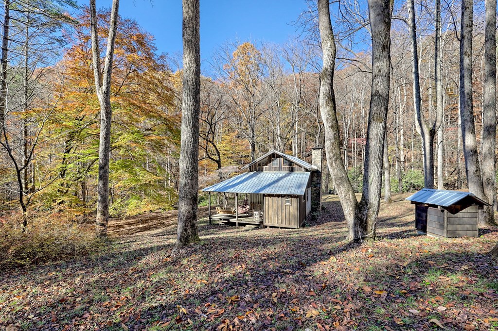 1307 Clear Creek Road Hayesville, NC 28904 - Photo 50 of 65 a backyard of a house with table and chairs