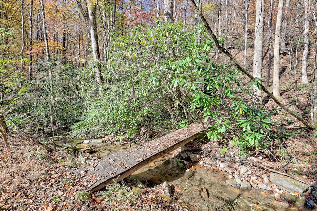 1307 Clear Creek Road Hayesville, NC 28904 - Photo 5 of 65 a backyard of a house with lots of green space